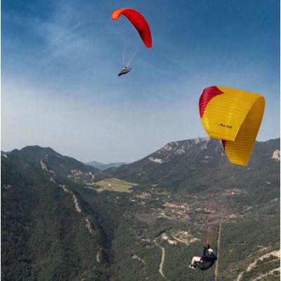 Avid (EN-B Alta) Talla L - Ocasión Avid (EN-B Alta) Talla L - Ocasión