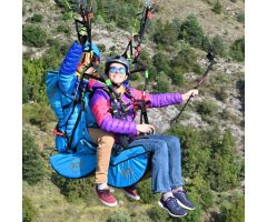 Link Passenger Link Passenger