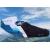 ee88351f35b85db97723da309f4f10a6-kasana-supair-delight-5 ee88351f35b85db97723da309f4f10a6-kasana-supair-delight-5