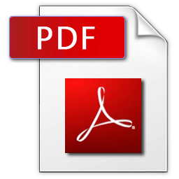 Manual Digifly AIR última versión (Inglés)